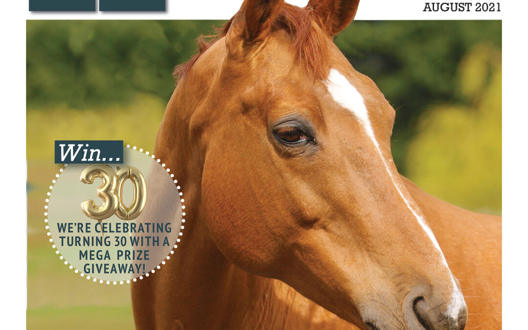 Absolute Horse Magazine
